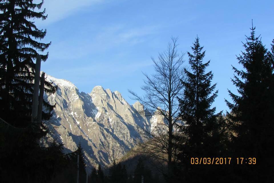 Hôtel Valbona Eco Camping Extérieur photo