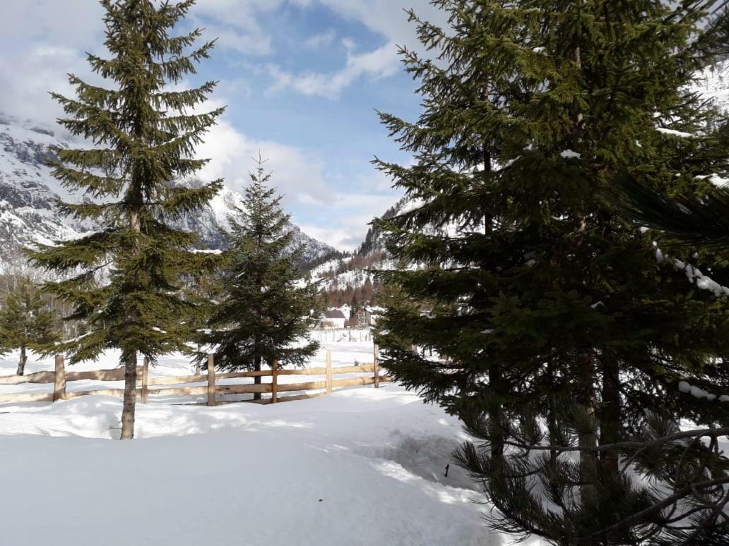 Hôtel Valbona Eco Camping Extérieur photo